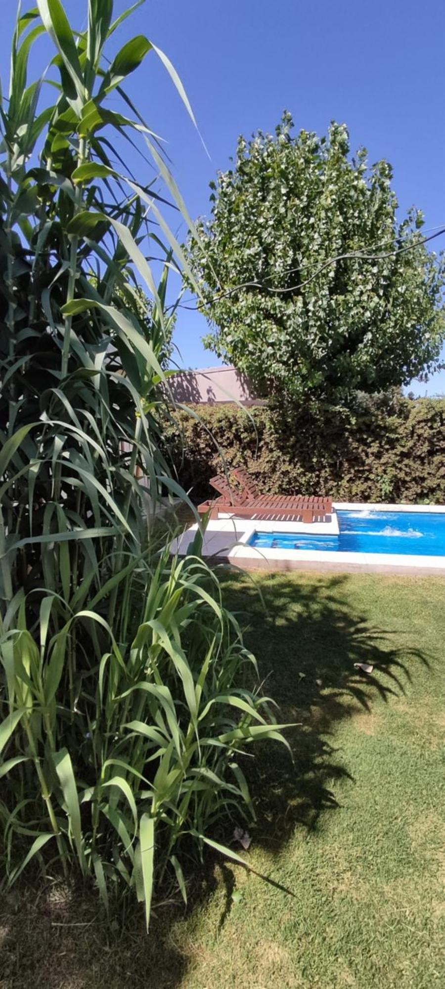 Cabana La Sonada Junín Kamer foto